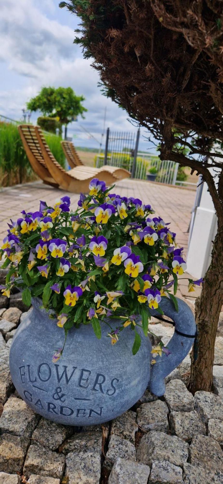 Homestay Dobrylko